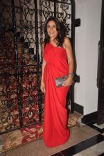 Rashmi Uday Singh at the Indo French dinner in Taj Hotel on 14th Nov 2011 (47).JPG